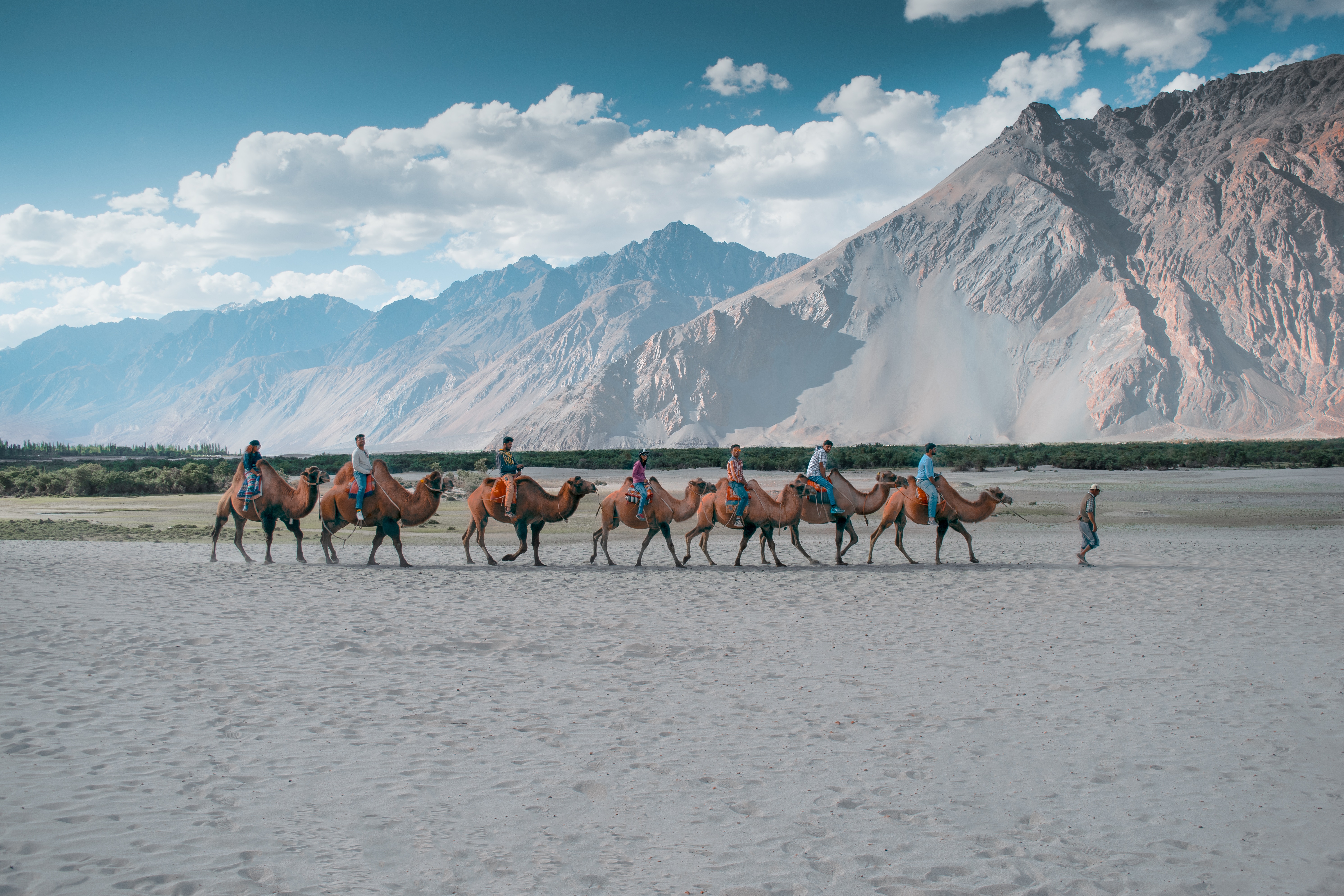 Inde : trek découverte du Ladakh