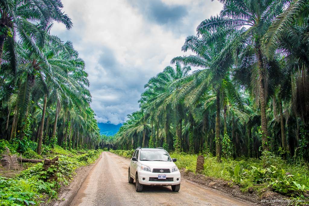 Costa Rica : D’une côte à l’autre : Autotour écono-confort