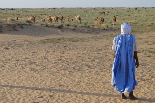 Mauritanie