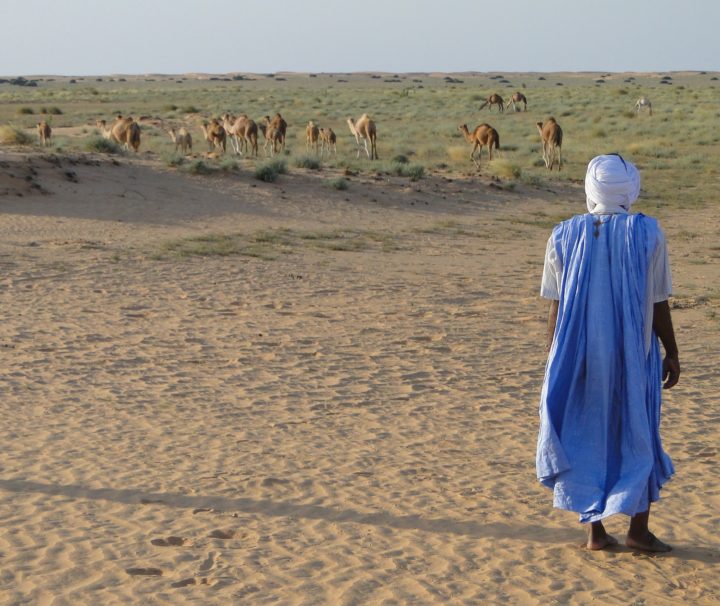 desert-mauritanie agence de voyages phileas frog paris 17.