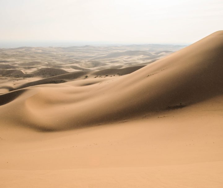 gobi mongolie agence de voyages phileas frog paris 17