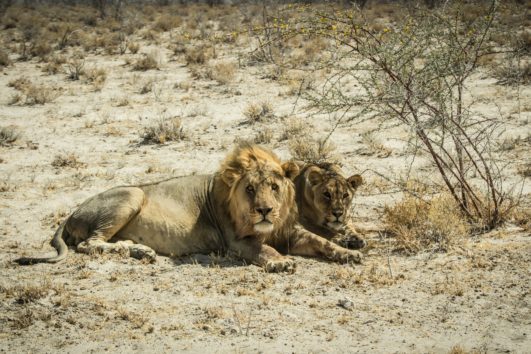 namibia-agence phileas voyage