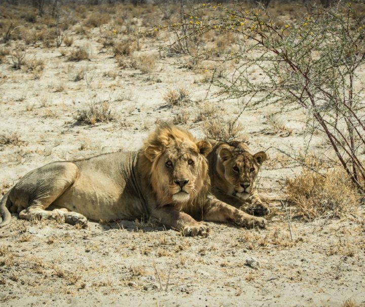 namibia-agence phileas voyage