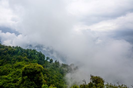 Sikkim